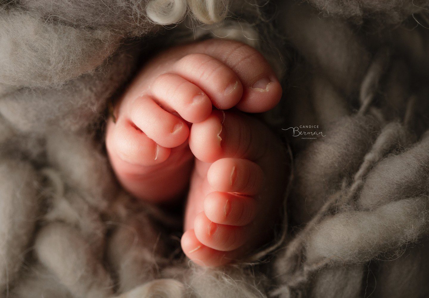 newborn toes photo